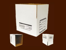 anolsan